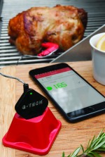 The Companion Group Introduces Line of Smart Outdoor-living Products