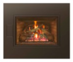 New Real Fyre® Millivolt Direct Vent Insert Delivers Real Wood Fire Look