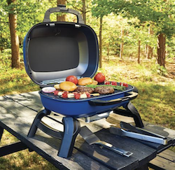 All-New TRAVELQ™ 240 Portable Grilling From Napoleon