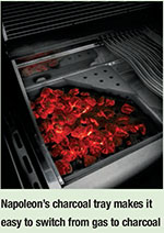 Big Grills With All the Bells and Whistles